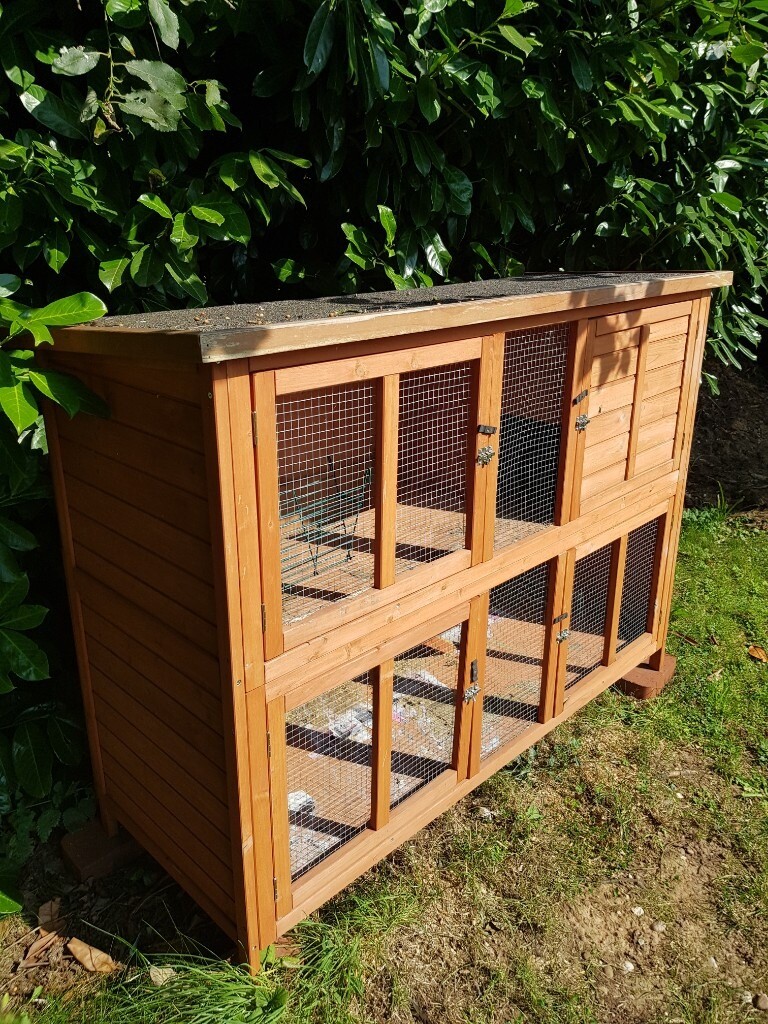 gumtree guinea pig hutch
